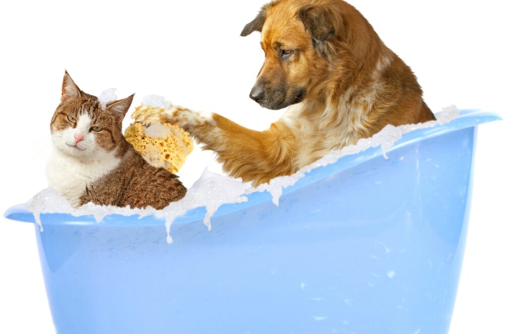 www.perlapetstore.com-Professional Pet Grooming